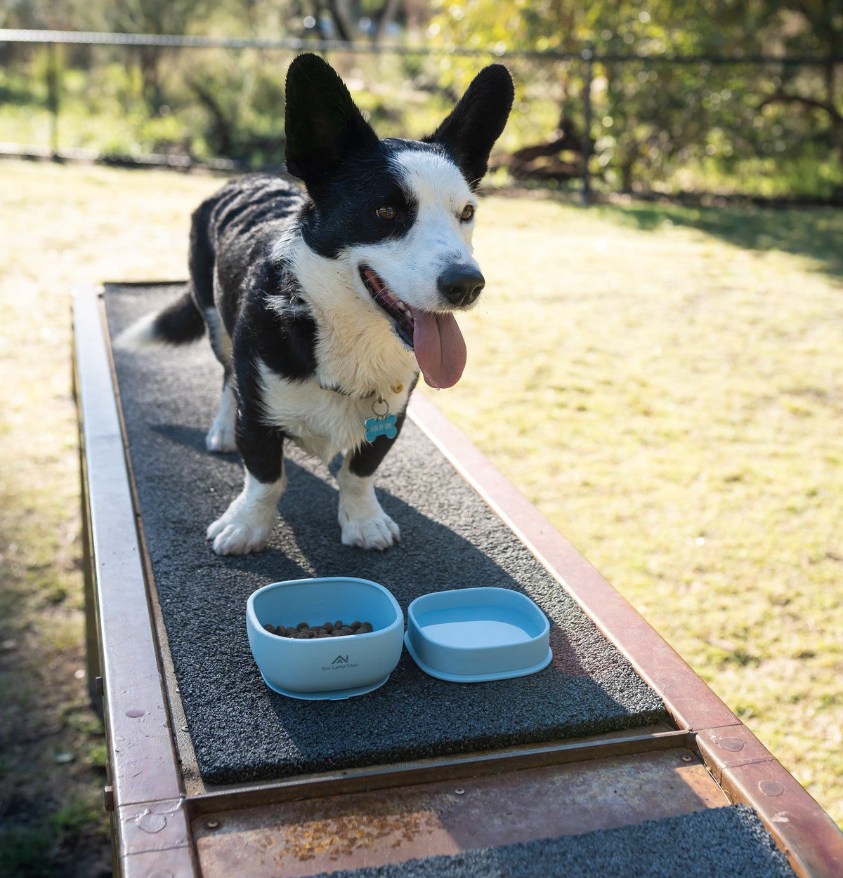 Emu Eat: 2-in-1 Pet Bowl
